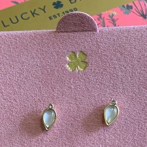Lucky Brand teardrop pearl & gold tone studs, NEW
